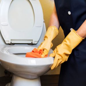 Maintenance Of Toilet Seat Service