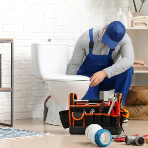 Install Premium Toilet Seats